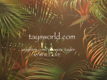 love girl phoenix_taylor image #1989651