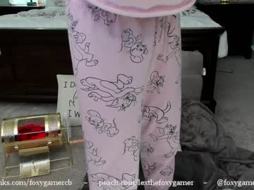 love girl foxy_gamer image #96119
