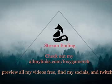 love girl foxy_gamer image #1962194
